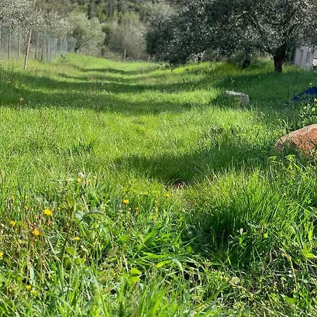 Il Giardino Degli Ulivi 2*