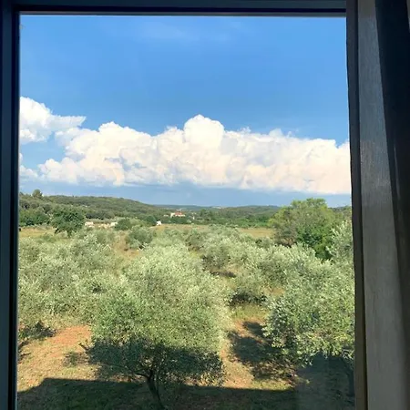 Πανσιόν Il Giardino Degli Ulivi 2*