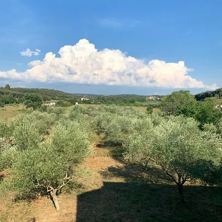Il Giardino Degli Ulivi Πανσιόν Ρόβινι