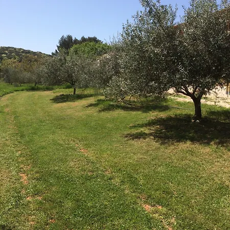 Il Giardino Degli Ulivi