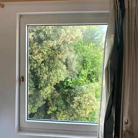 Il Giardino Degli Ulivi Maison d'hôtes
